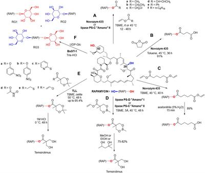 Late-stage diversification of bacterial natural products through biocatalysis